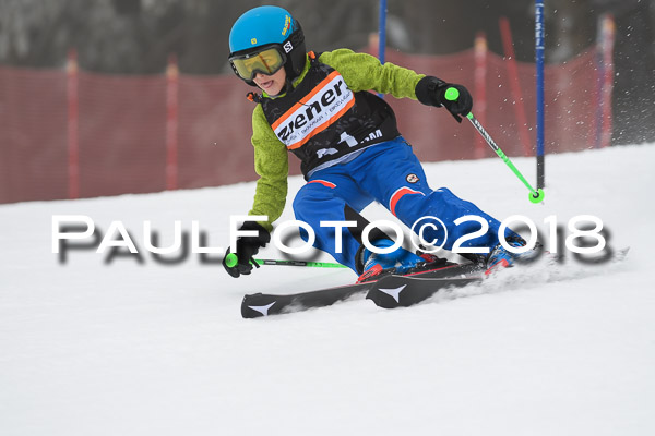 3. Ziener Cup RS