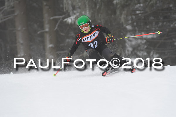 3. Ziener Cup RS