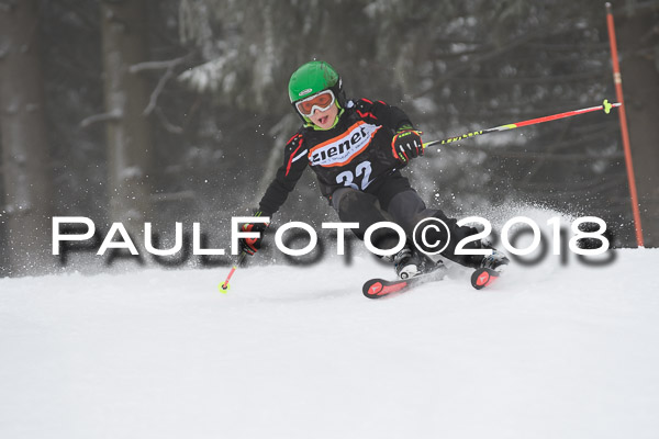 3. Ziener Cup RS
