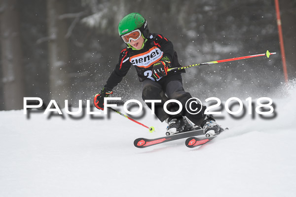 3. Ziener Cup RS