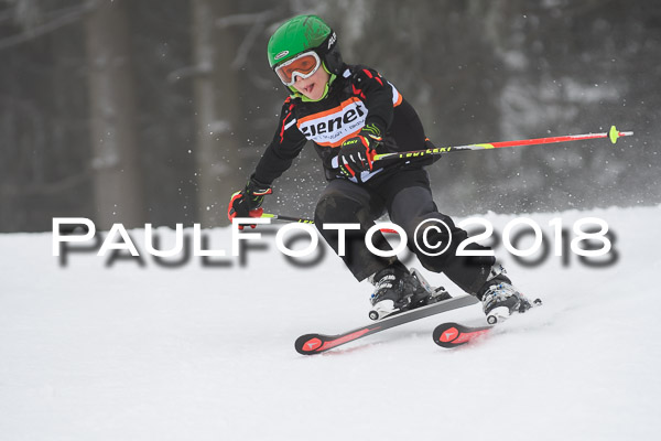 3. Ziener Cup RS