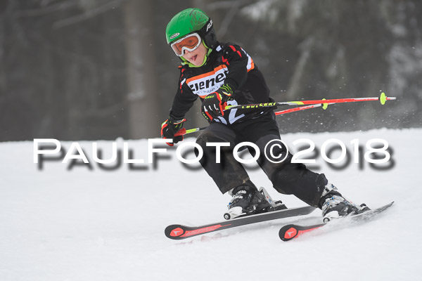 3. Ziener Cup RS