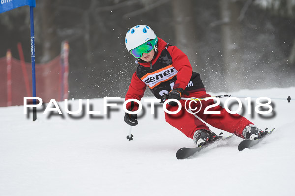 3. Ziener Cup RS