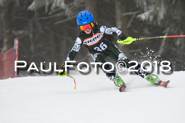 3. Ziener Cup RS
