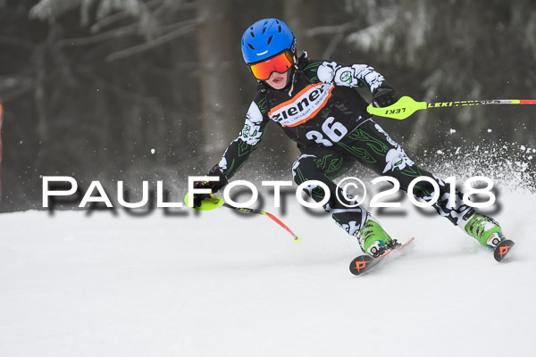 3. Ziener Cup RS