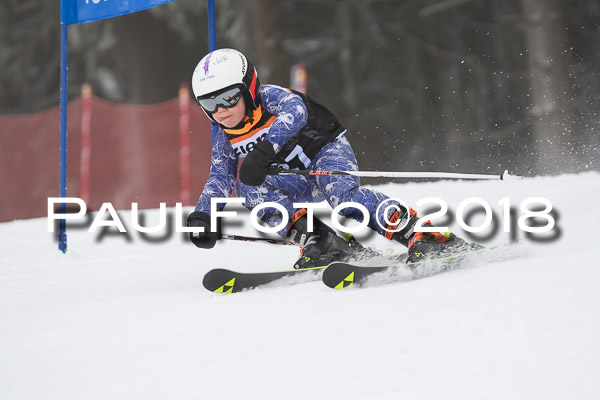 3. Ziener Cup RS