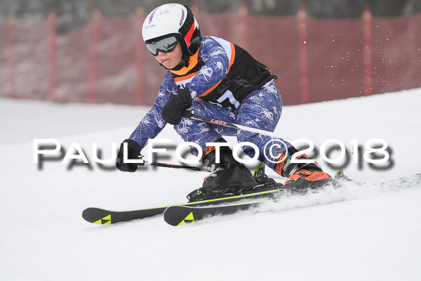 3. Ziener Cup RS