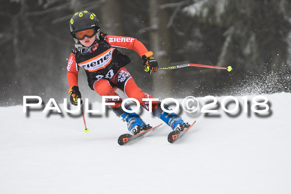 3. Ziener Cup RS