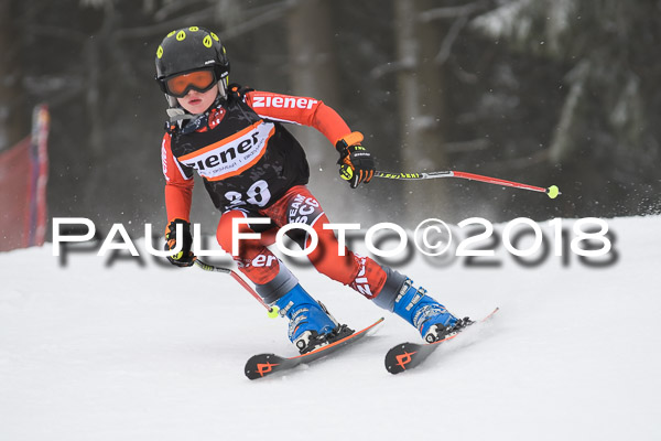 3. Ziener Cup RS