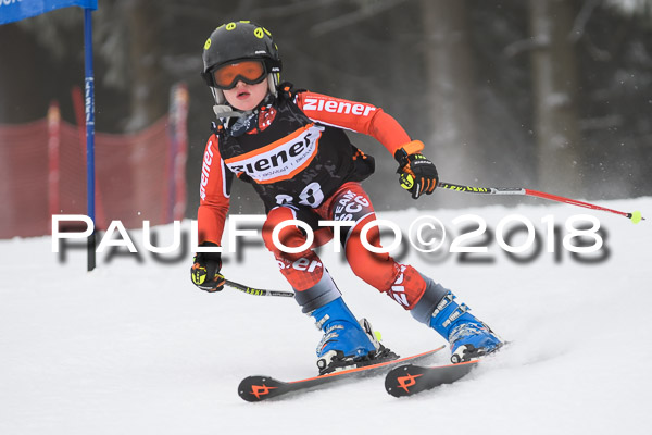 3. Ziener Cup RS