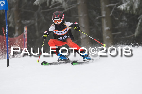 3. Ziener Cup RS