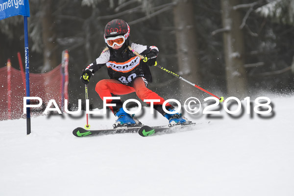 3. Ziener Cup RS