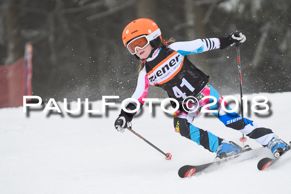3. Ziener Cup RS