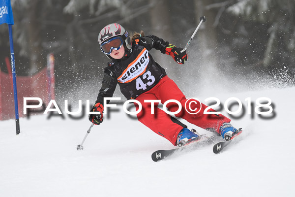 3. Ziener Cup RS