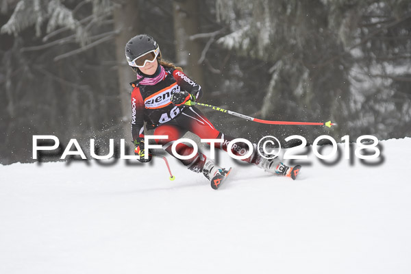 3. Ziener Cup RS