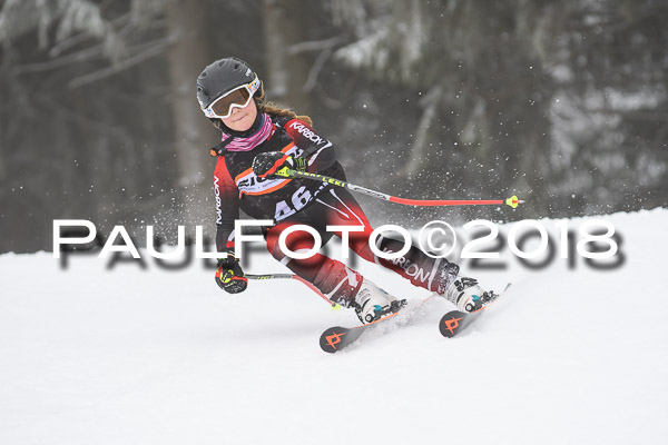3. Ziener Cup RS