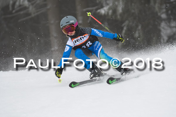 3. Ziener Cup RS