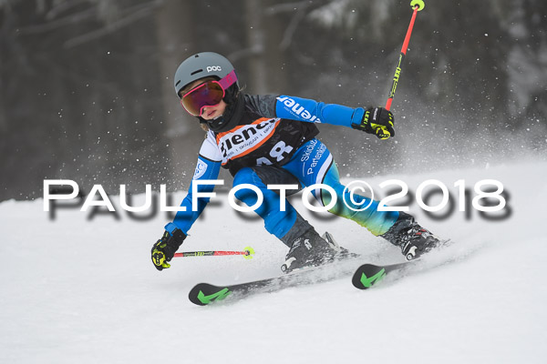 3. Ziener Cup RS