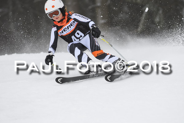 3. Ziener Cup RS