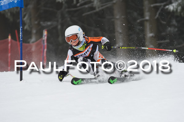 3. Ziener Cup RS
