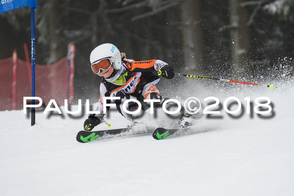 3. Ziener Cup RS