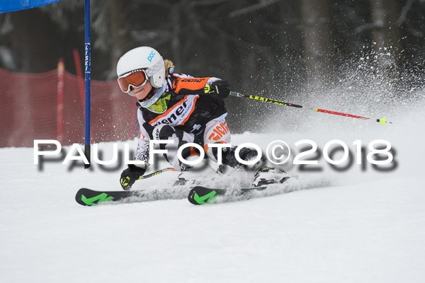 3. Ziener Cup RS