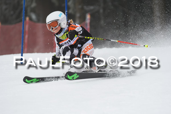 3. Ziener Cup RS