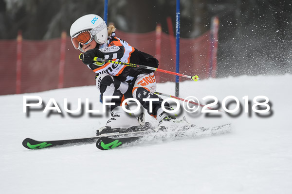 3. Ziener Cup RS