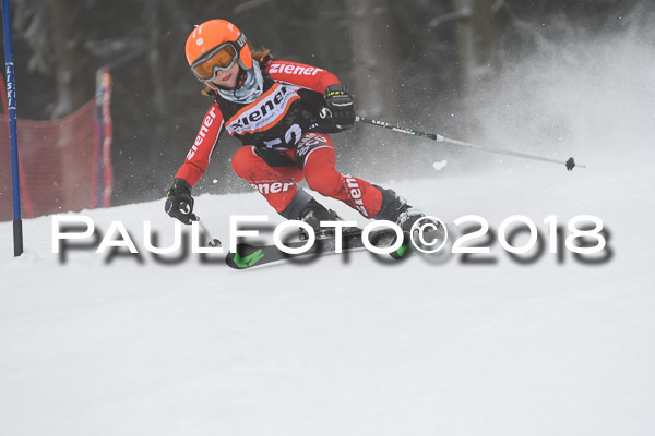 3. Ziener Cup RS