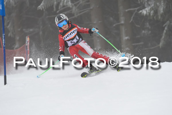 3. Ziener Cup RS