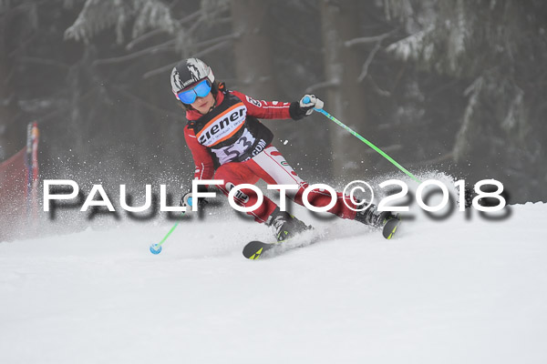 3. Ziener Cup RS