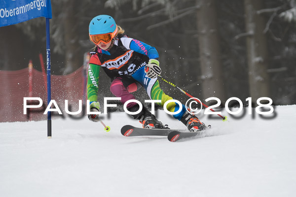 3. Ziener Cup RS