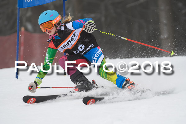 3. Ziener Cup RS