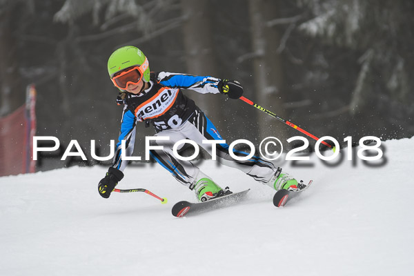 3. Ziener Cup RS