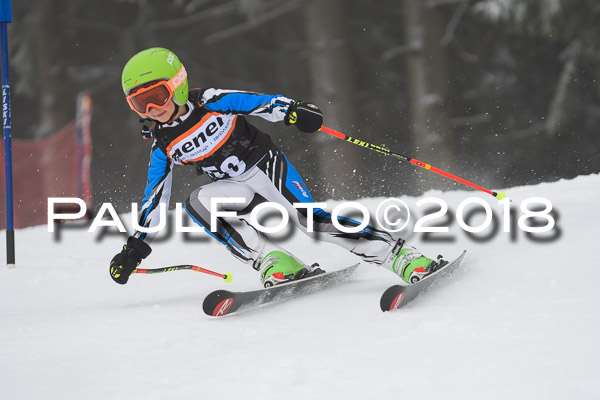 3. Ziener Cup RS