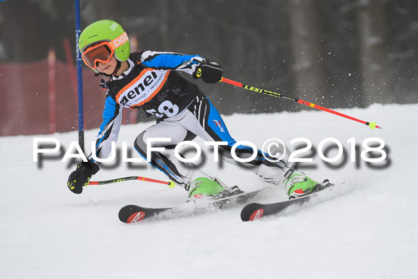 3. Ziener Cup RS