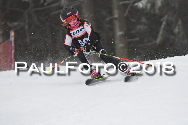 3. Ziener Cup RS