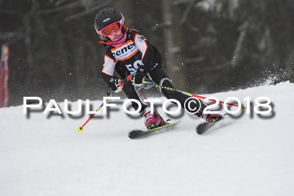 3. Ziener Cup RS