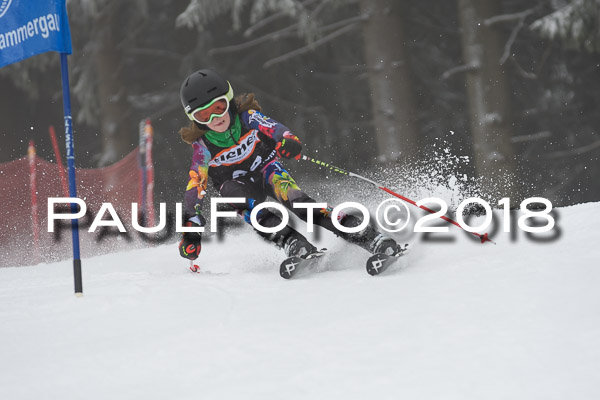 3. Ziener Cup RS