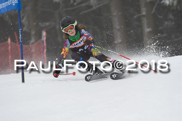 3. Ziener Cup RS