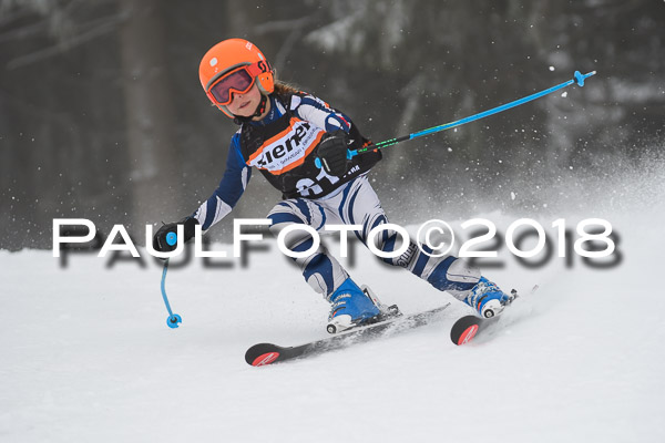 3. Ziener Cup RS