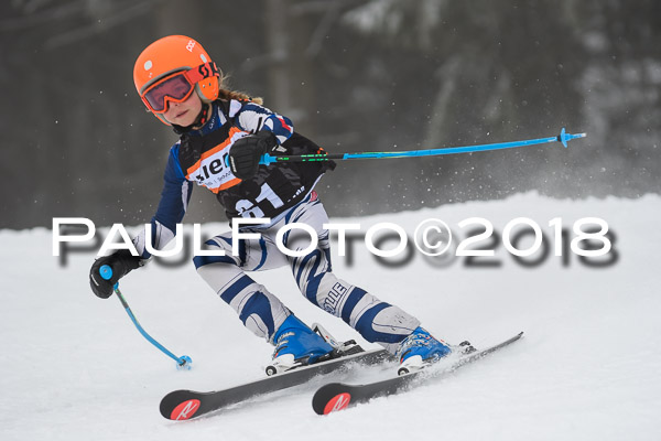 3. Ziener Cup RS