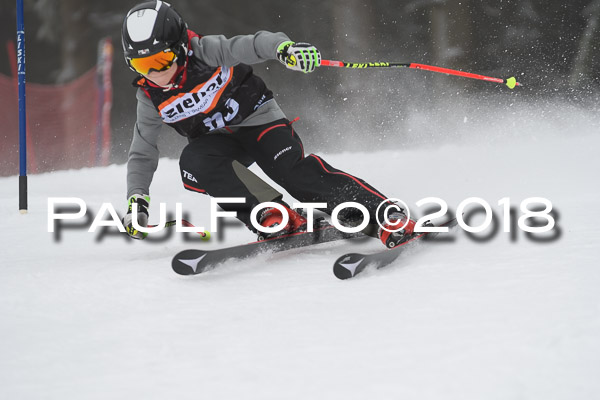 3. Ziener Cup RS