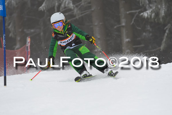 3. Ziener Cup RS