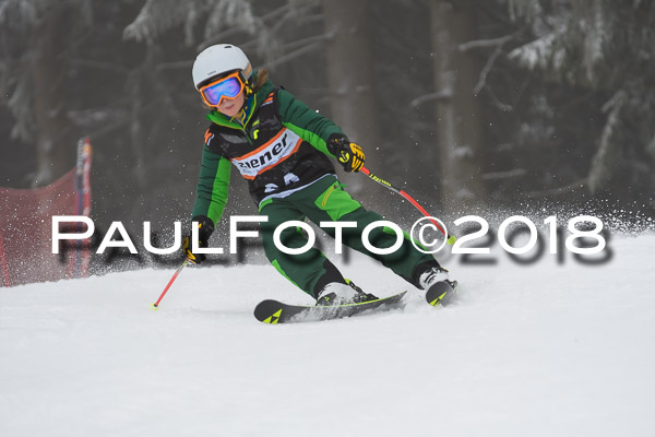 3. Ziener Cup RS