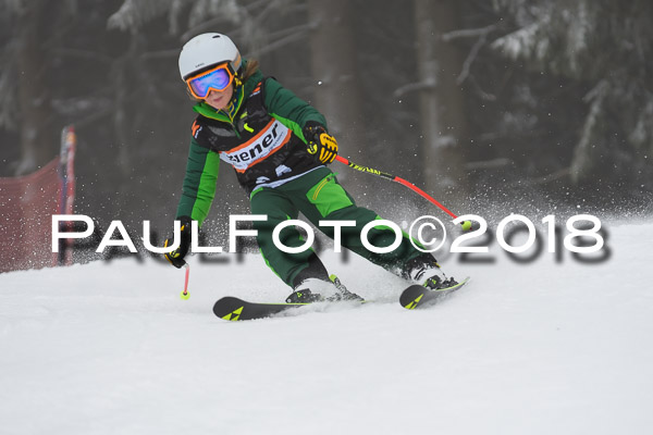 3. Ziener Cup RS