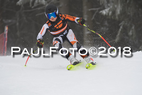 3. Ziener Cup RS