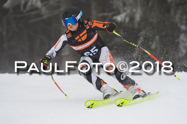 3. Ziener Cup RS