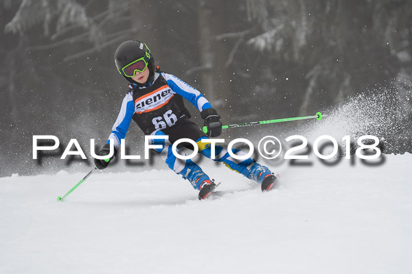 3. Ziener Cup RS