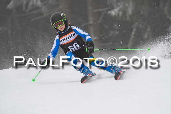 3. Ziener Cup RS